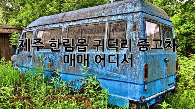제주 한림읍 귀덕리 중고차 매매, 어디서?